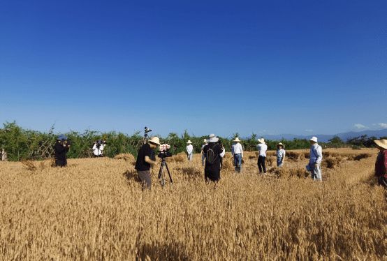 《追趕超越譜新篇》 陜西廣電理論節(jié)目創(chuàng)新表達(dá)的探索與實(shí)踐